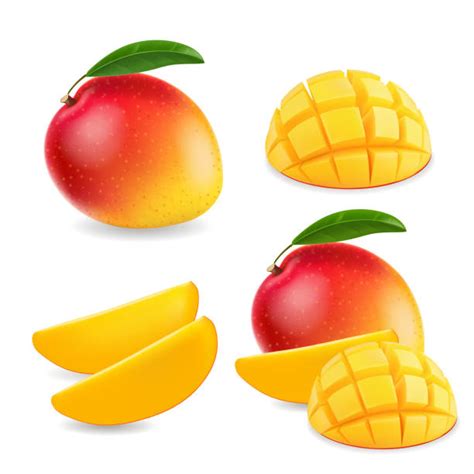mabango clipart|18,400+ Mango Stock Illustrations, Royalty.